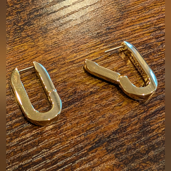 Jenny Bird U-Link Earrings - Picture 4 of 11